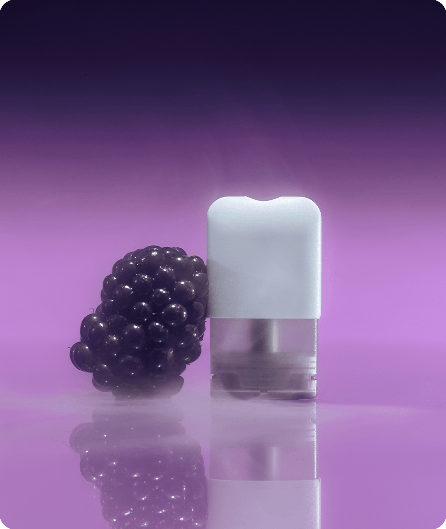 Dream Pods - Blackcurrant Aroma