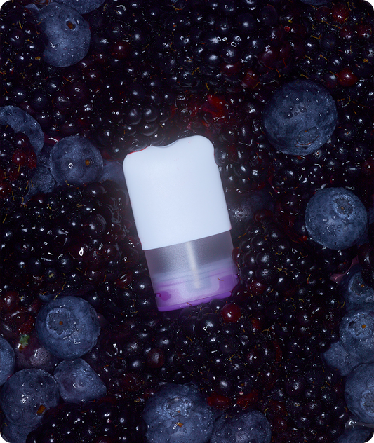 Dream Pods - Blackcurrant Aroma
